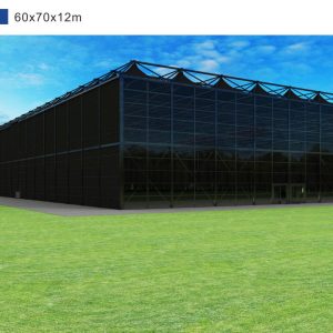 60×70×12m Pyramid Structure Tent